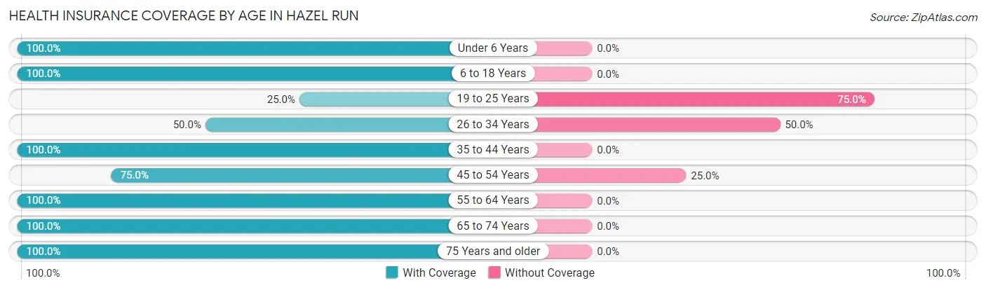 Health Insurance Coverage by Age in Hazel Run