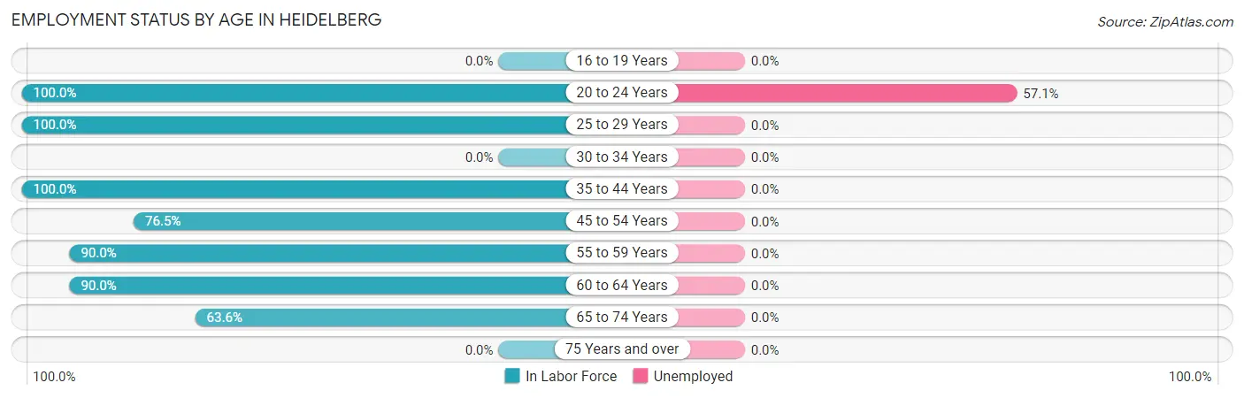 Employment Status by Age in Heidelberg