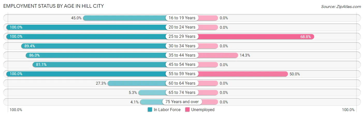 Employment Status by Age in Hill City