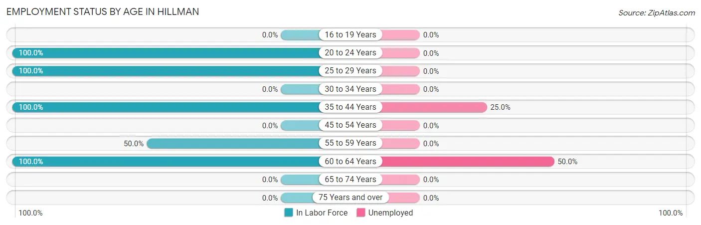 Employment Status by Age in Hillman