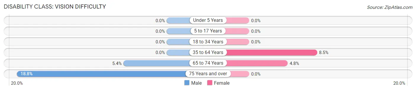 Disability in Hinckley: <span>Vision Difficulty</span>