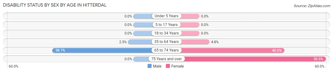 Disability Status by Sex by Age in Hitterdal