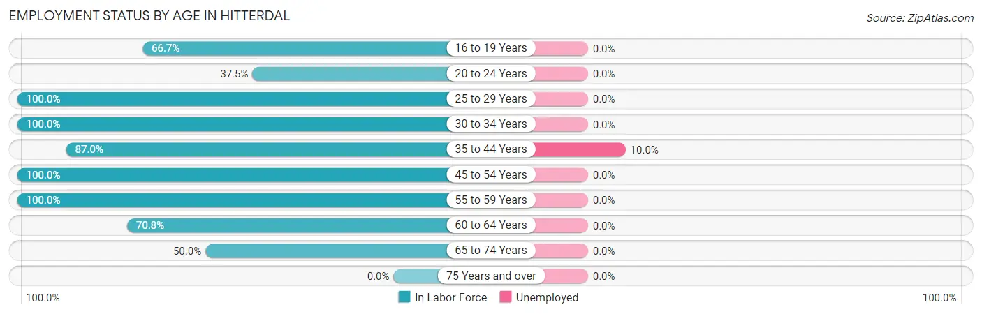 Employment Status by Age in Hitterdal