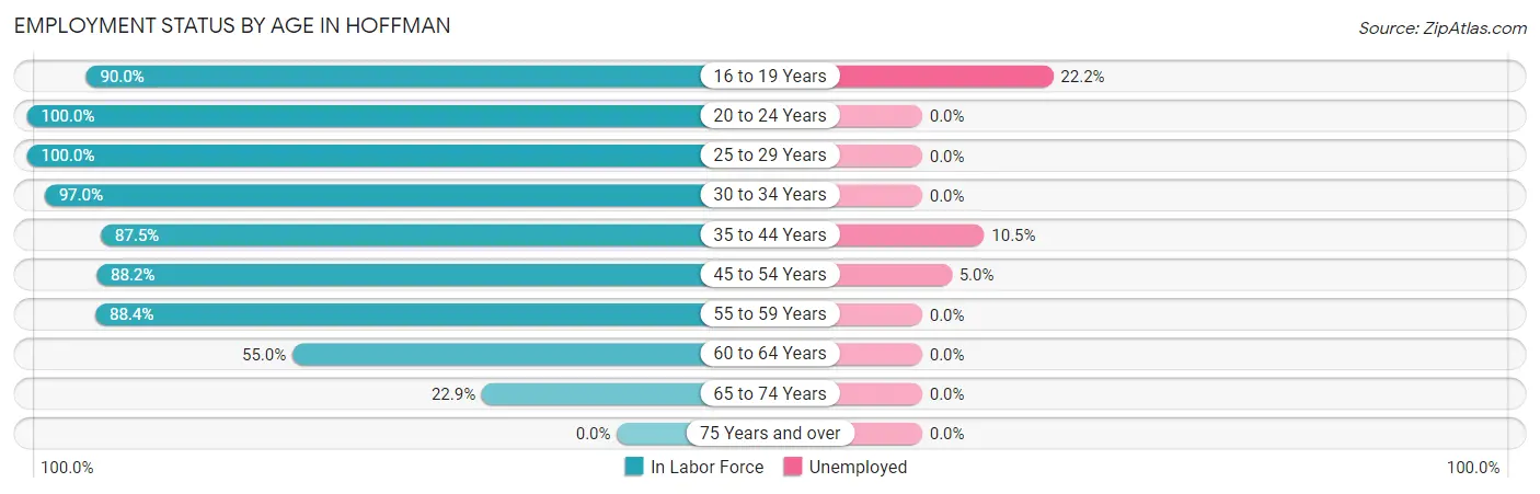 Employment Status by Age in Hoffman