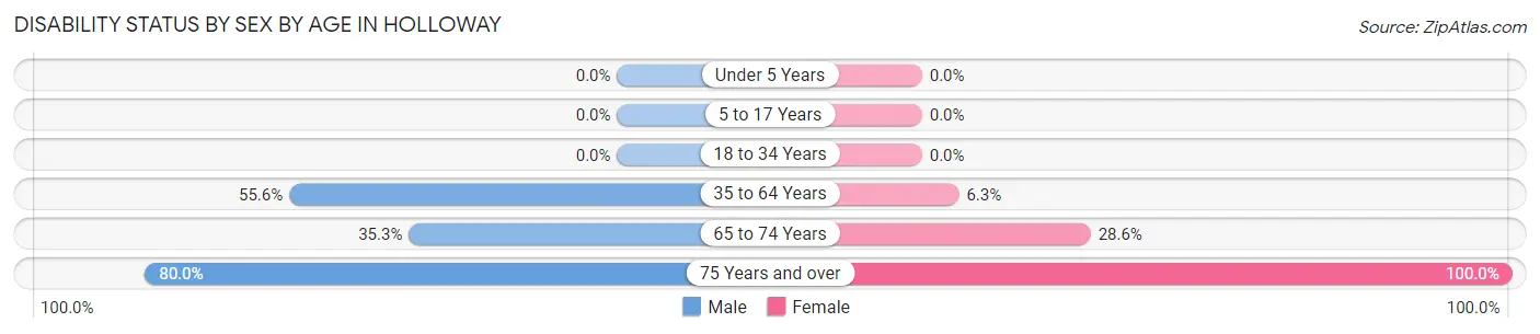 Disability Status by Sex by Age in Holloway