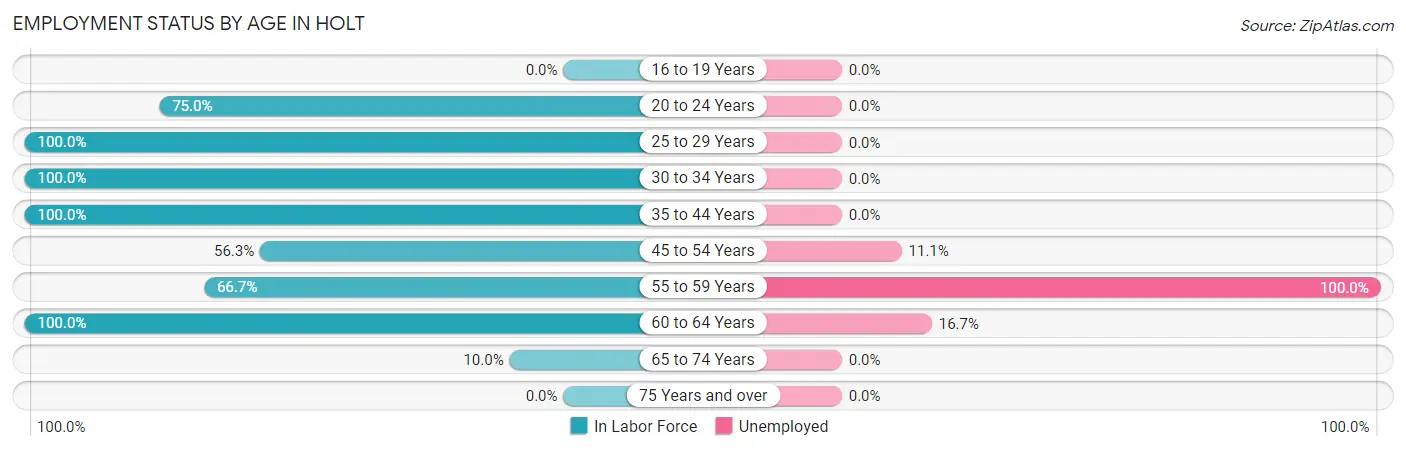 Employment Status by Age in Holt