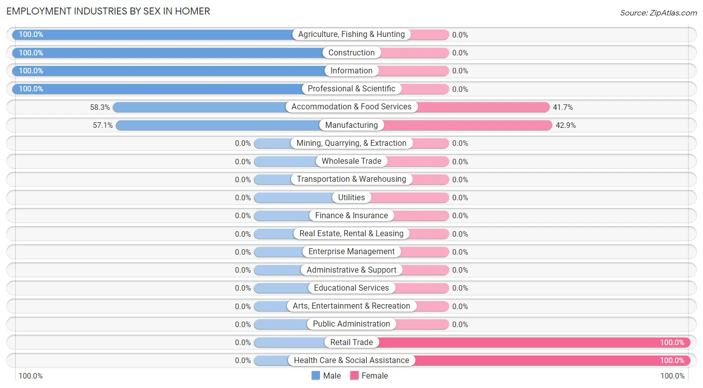 Employment Industries by Sex in Homer