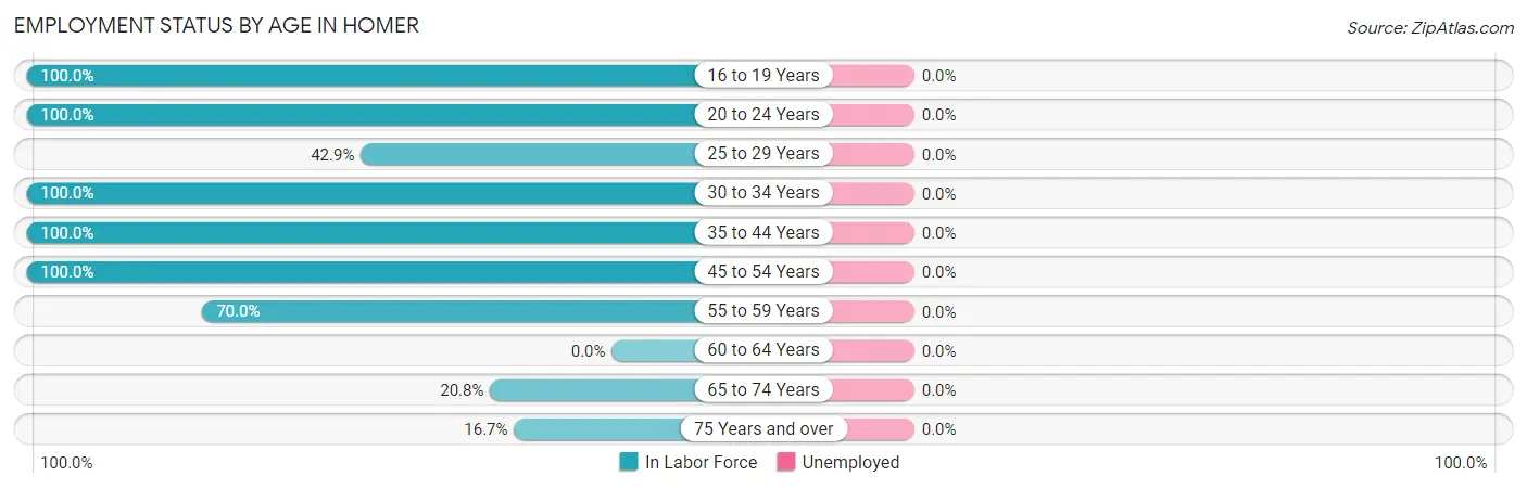 Employment Status by Age in Homer