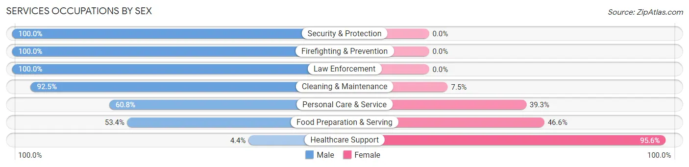 Services Occupations by Sex in Hopkins