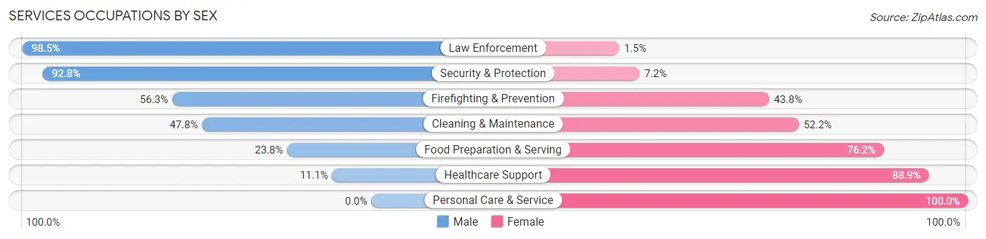 Services Occupations by Sex in Hugo
