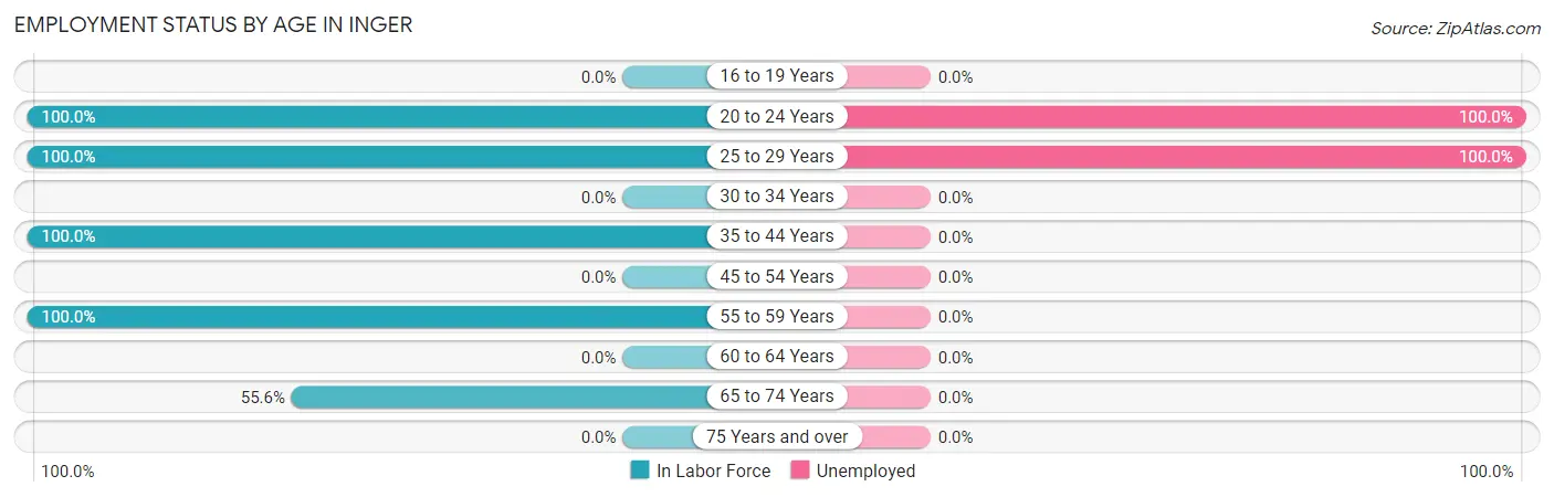 Employment Status by Age in Inger