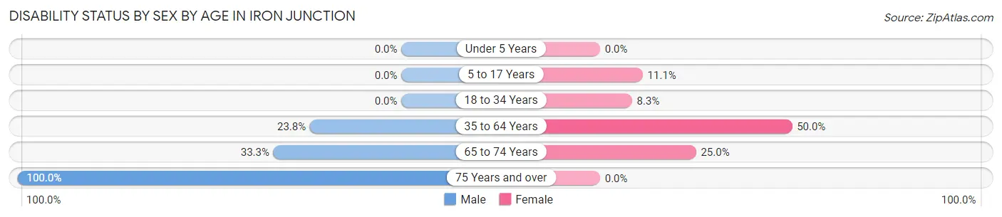 Disability Status by Sex by Age in Iron Junction