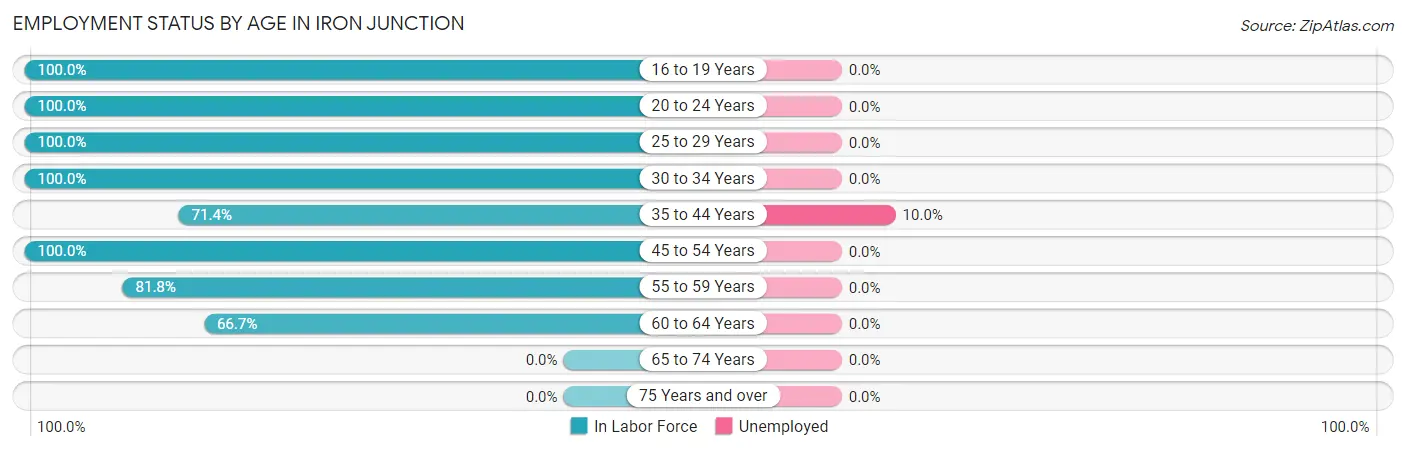 Employment Status by Age in Iron Junction