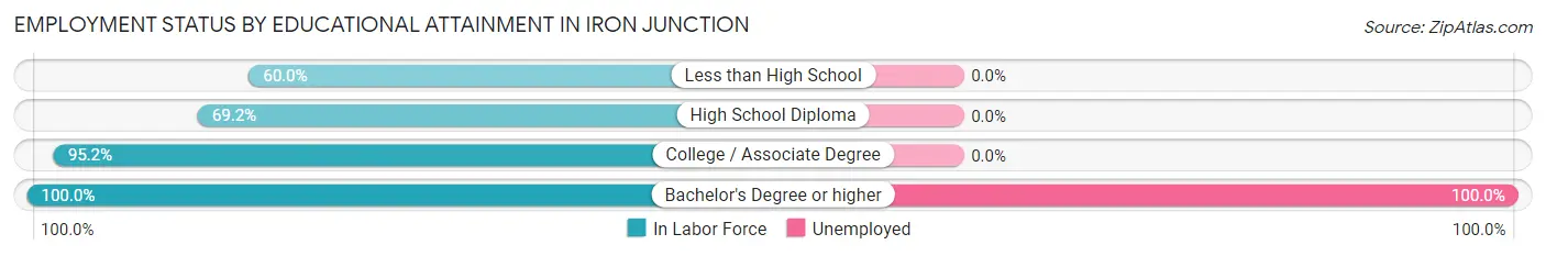 Employment Status by Educational Attainment in Iron Junction