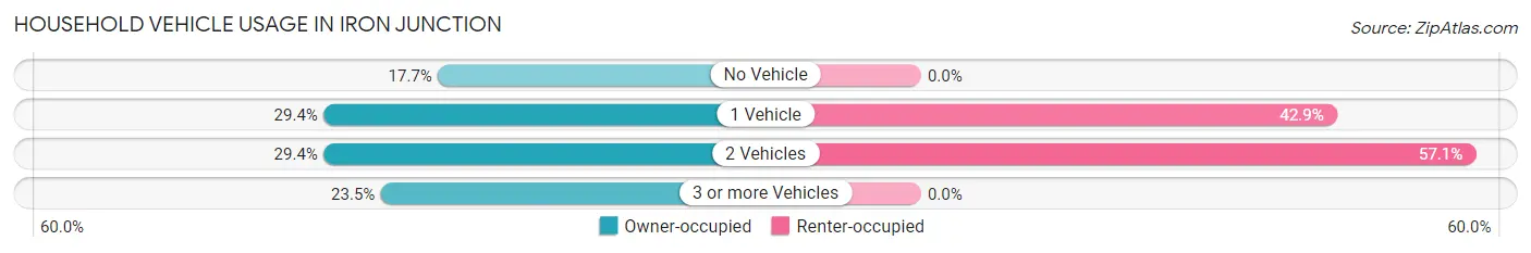 Household Vehicle Usage in Iron Junction