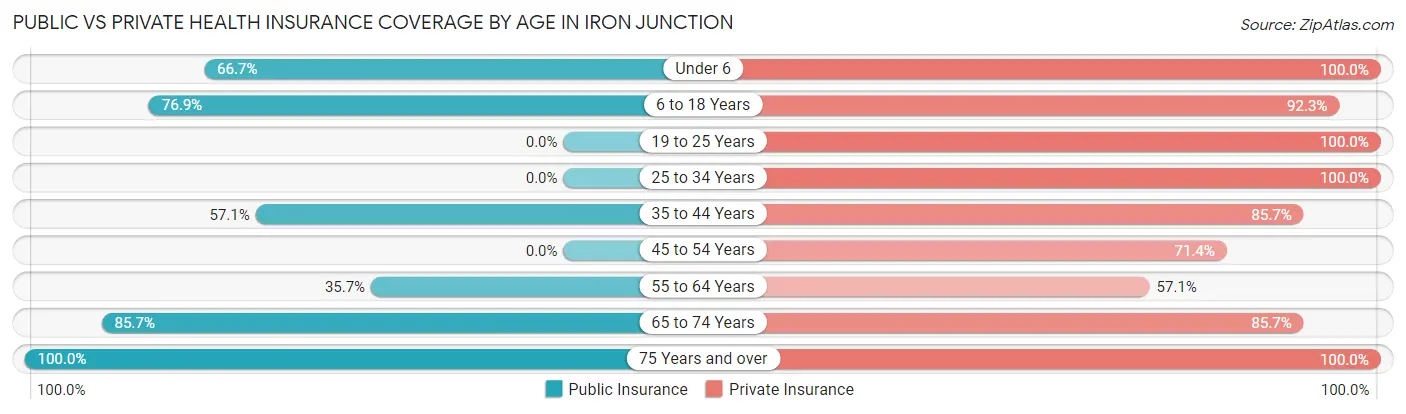 Public vs Private Health Insurance Coverage by Age in Iron Junction