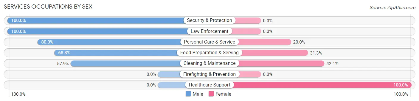Services Occupations by Sex in Ivanhoe