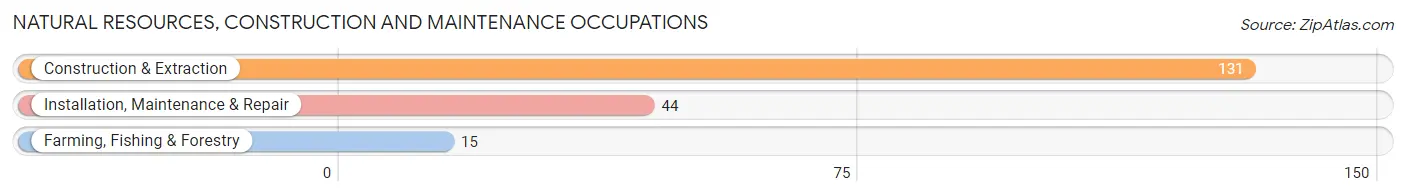 Natural Resources, Construction and Maintenance Occupations in Jackson