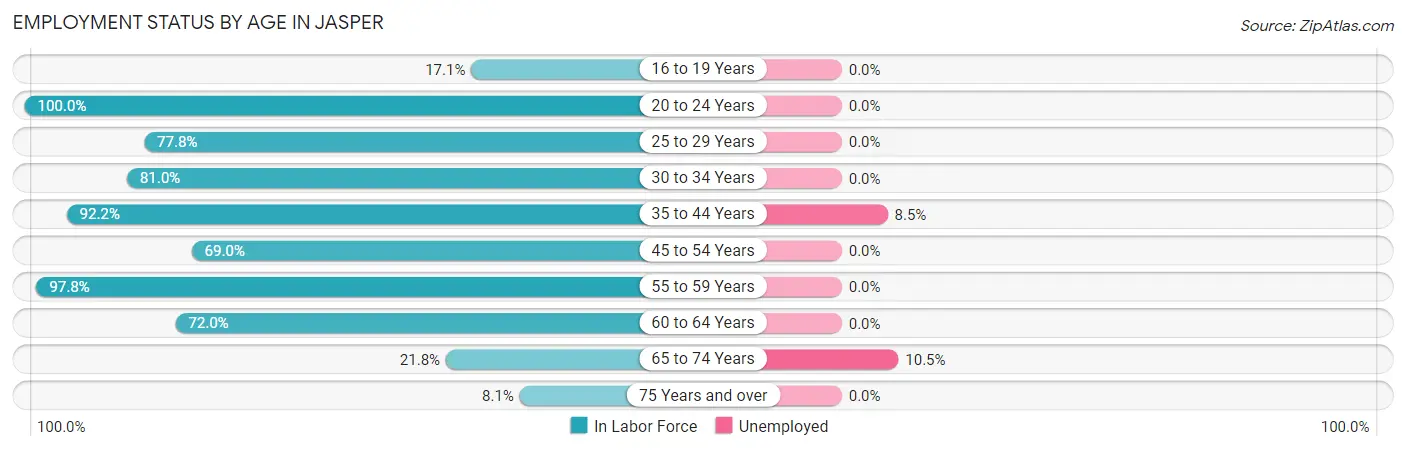 Employment Status by Age in Jasper
