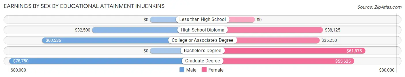 Earnings by Sex by Educational Attainment in Jenkins