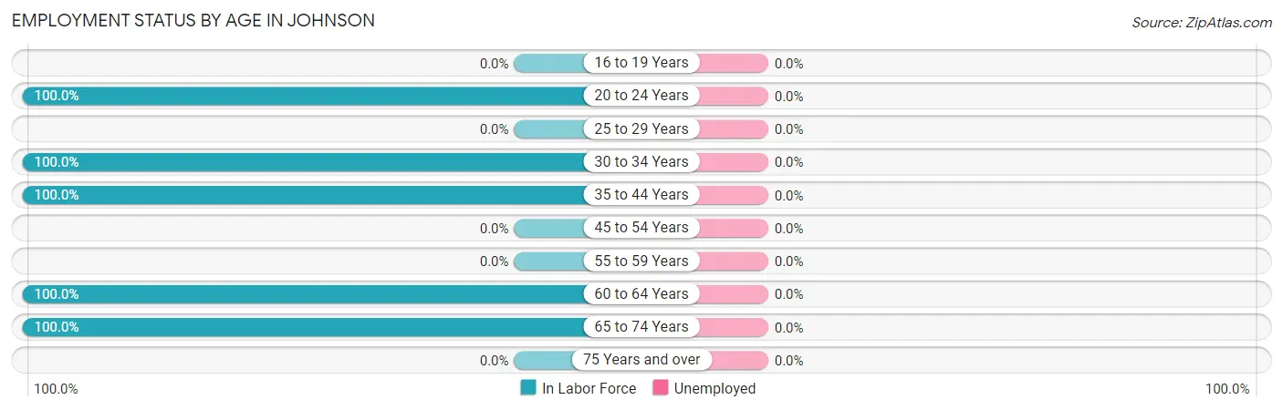 Employment Status by Age in Johnson