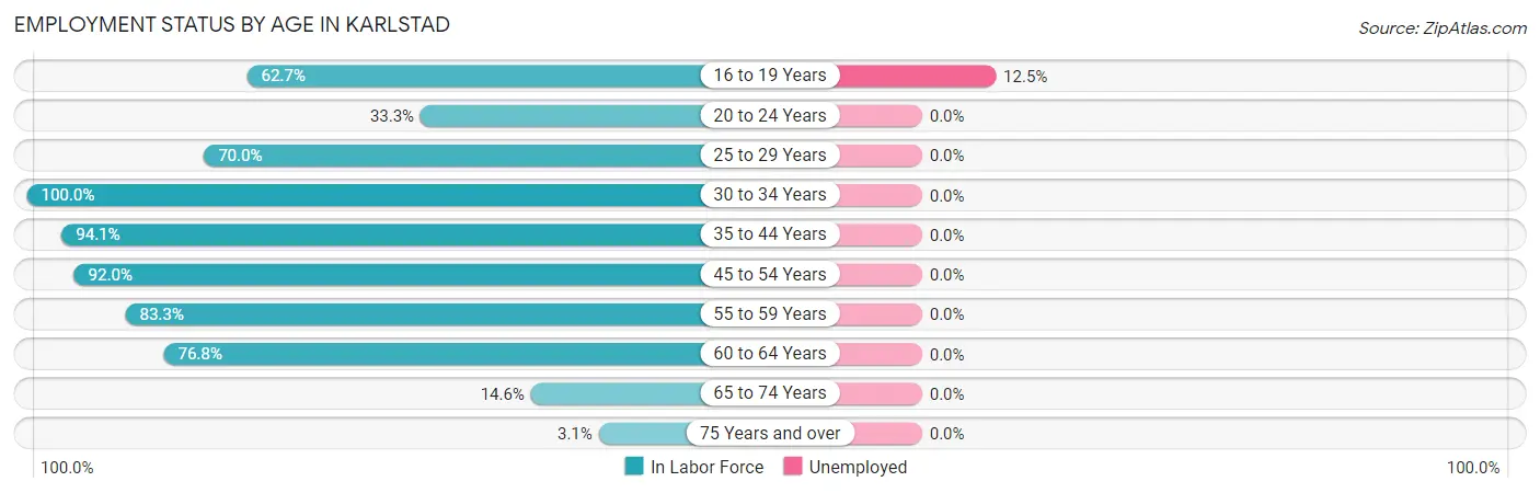 Employment Status by Age in Karlstad