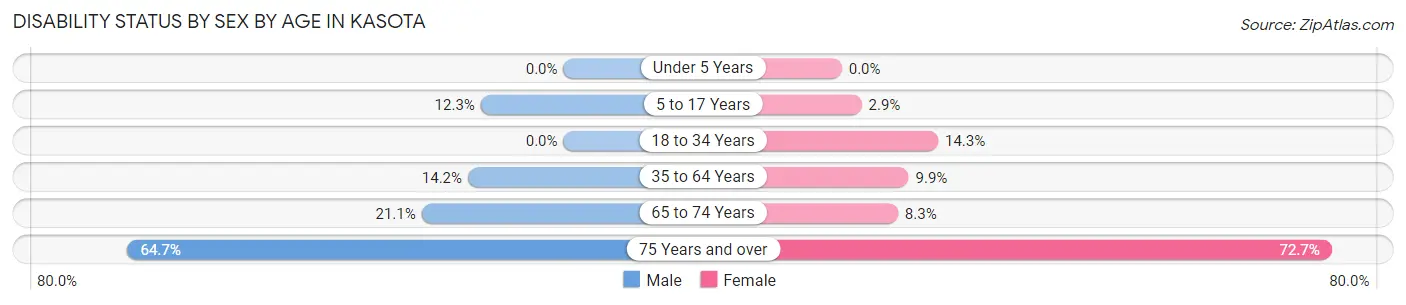 Disability Status by Sex by Age in Kasota