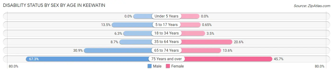 Disability Status by Sex by Age in Keewatin