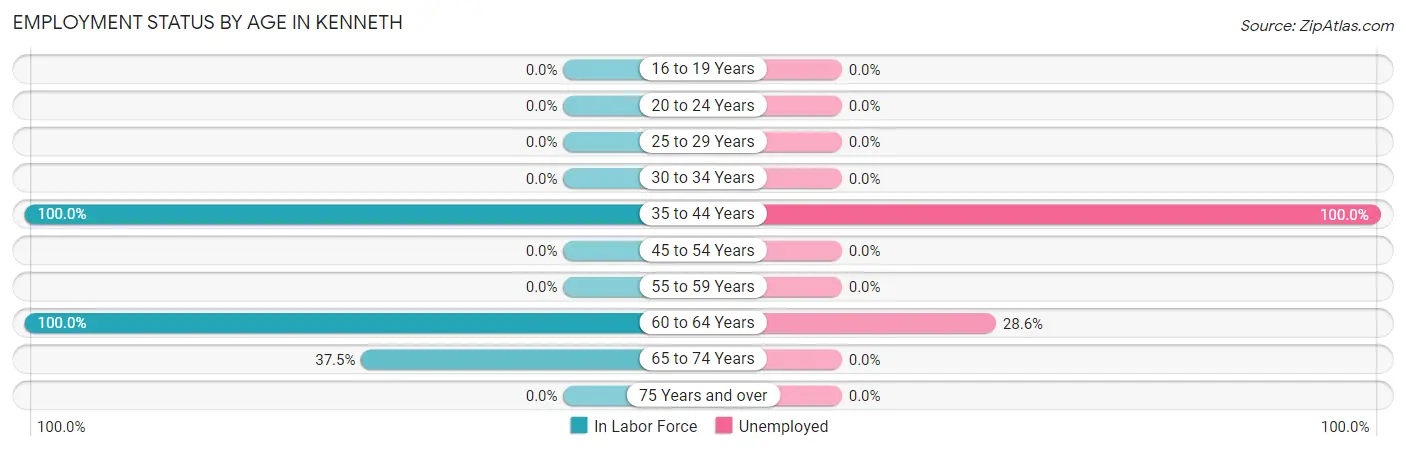 Employment Status by Age in Kenneth