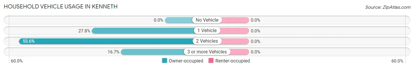 Household Vehicle Usage in Kenneth