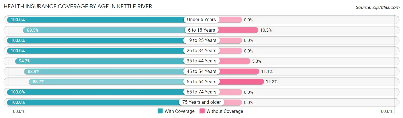 Health Insurance Coverage by Age in Kettle River
