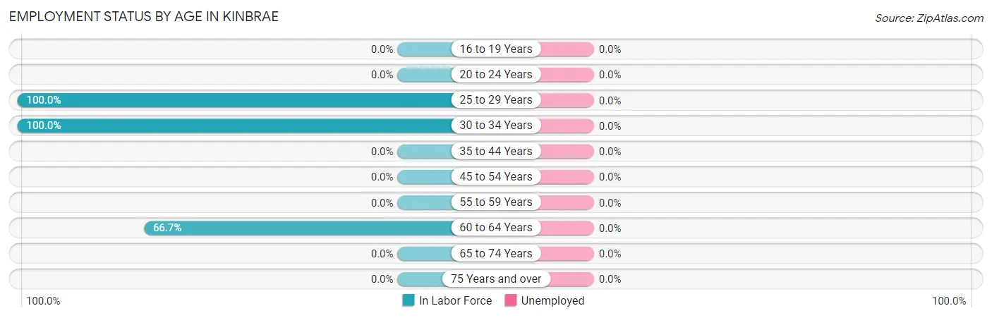 Employment Status by Age in Kinbrae