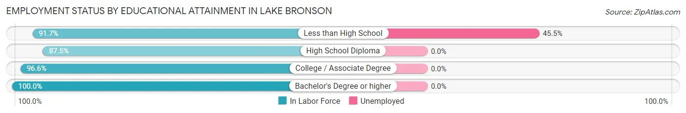 Employment Status by Educational Attainment in Lake Bronson