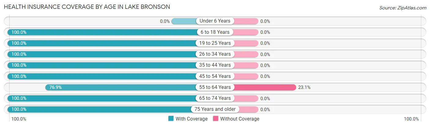Health Insurance Coverage by Age in Lake Bronson