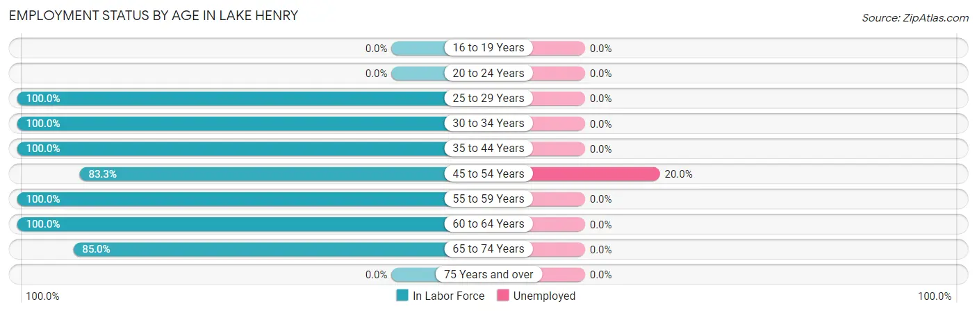 Employment Status by Age in Lake Henry