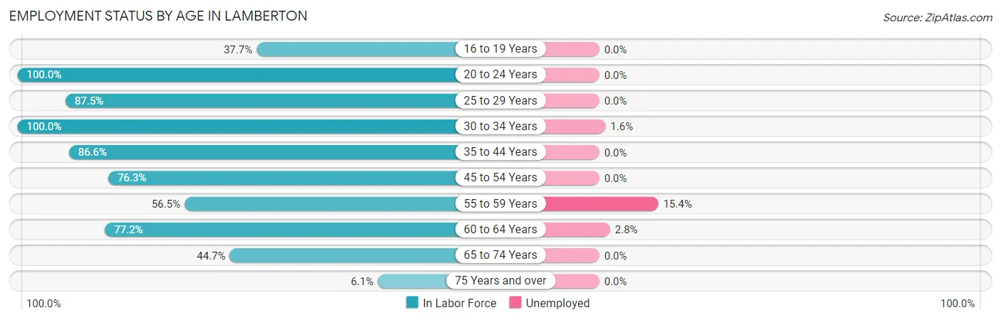 Employment Status by Age in Lamberton