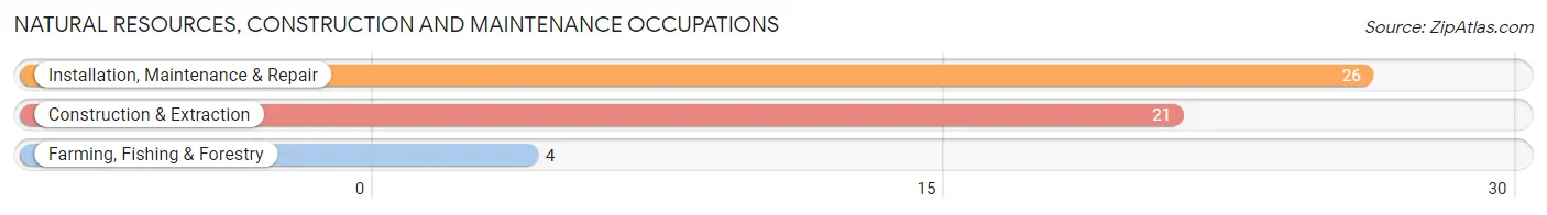 Natural Resources, Construction and Maintenance Occupations in Lamberton