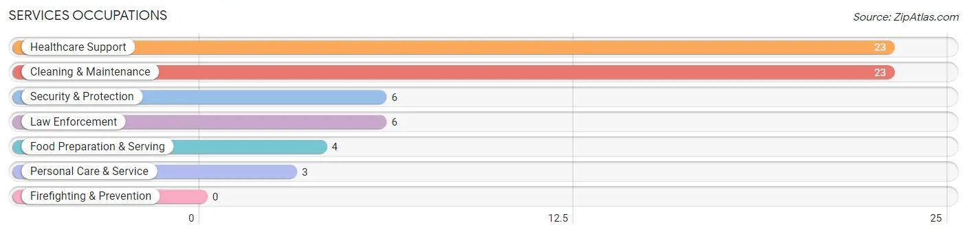 Services Occupations in Le Roy