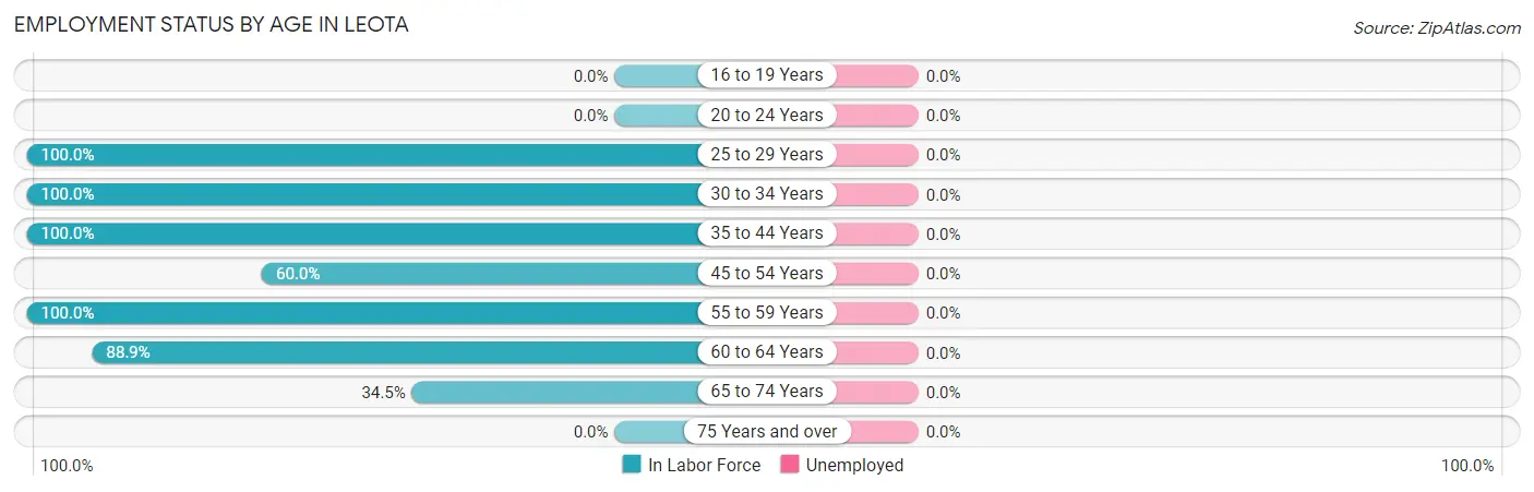 Employment Status by Age in Leota