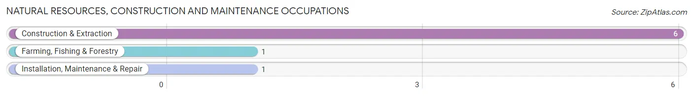 Natural Resources, Construction and Maintenance Occupations in Leota