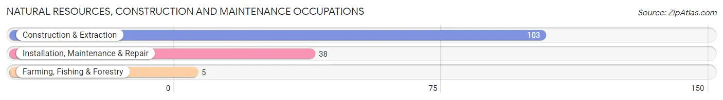 Natural Resources, Construction and Maintenance Occupations in Lester Prairie