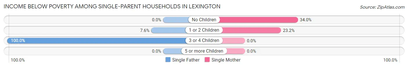 Income Below Poverty Among Single-Parent Households in Lexington