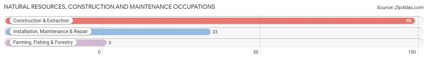 Natural Resources, Construction and Maintenance Occupations in Lexington