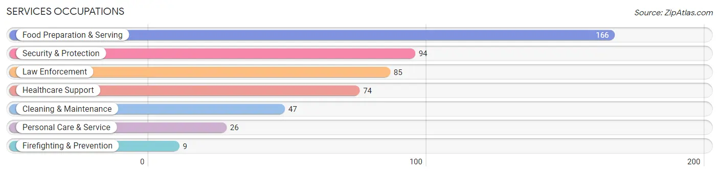 Services Occupations in Lindstrom