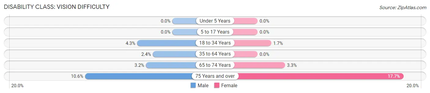 Disability in Lindstrom: <span>Vision Difficulty</span>