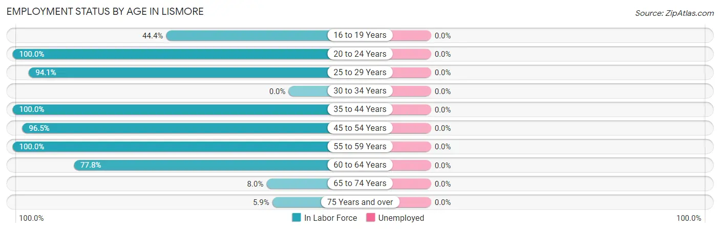 Employment Status by Age in Lismore