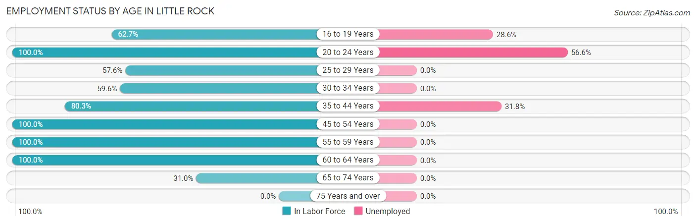 Employment Status by Age in Little Rock