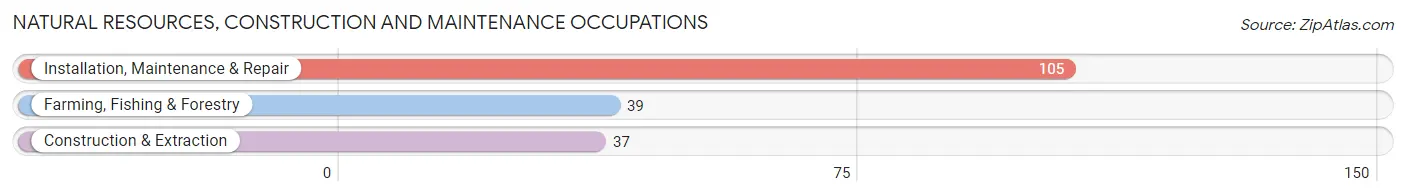 Natural Resources, Construction and Maintenance Occupations in Long Prairie