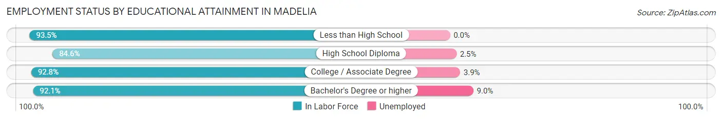 Employment Status by Educational Attainment in Madelia
