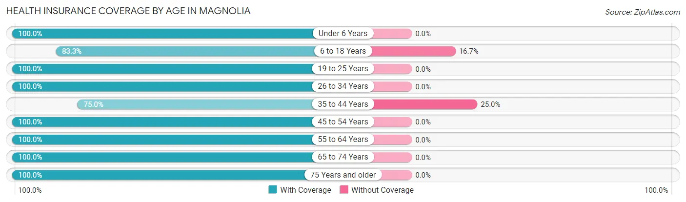Health Insurance Coverage by Age in Magnolia